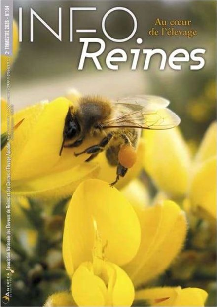 Couverture d'Info-Reines n° 154, 2e trimestre 2026